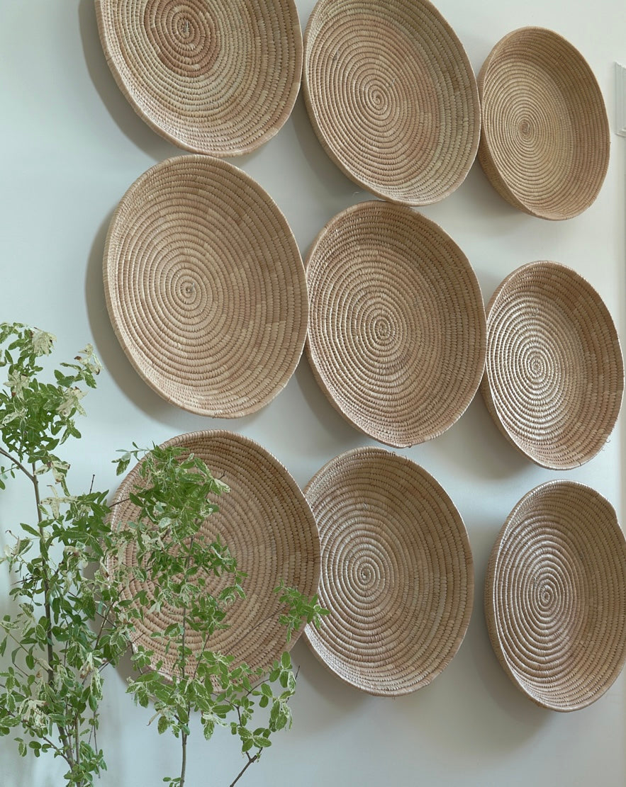 Woven baskets arranged on a wall with a plant in the foreground